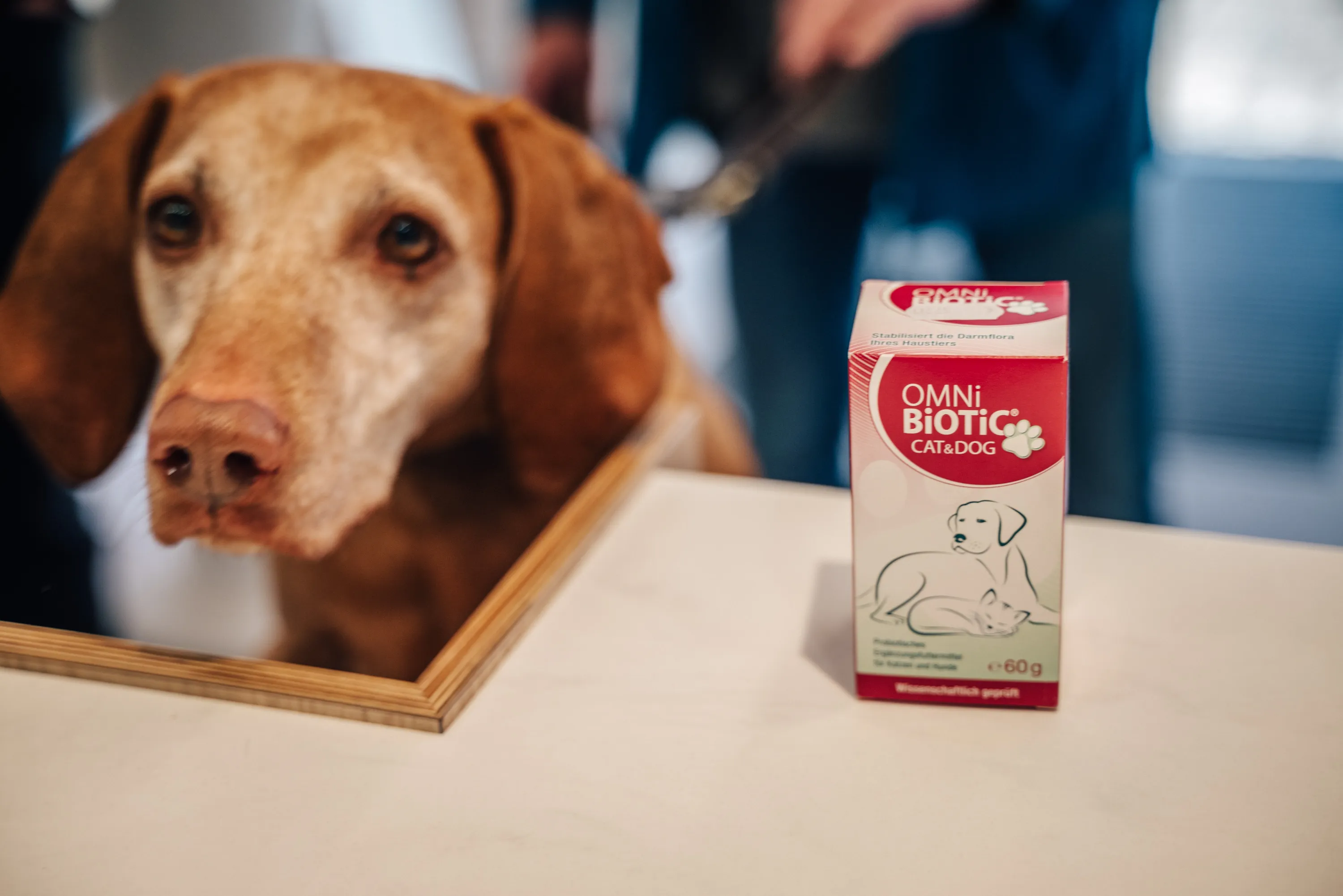 Apothekerin der Markt Apotheke Landau berät zu Tiergesundheit